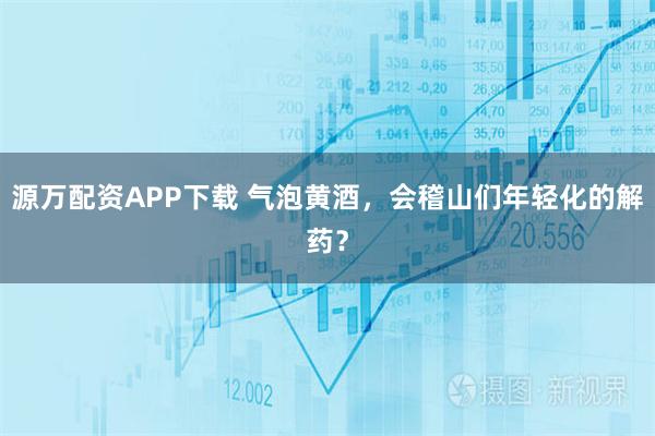 源万配资APP下载 气泡黄酒,会稽山们年轻化的解药?