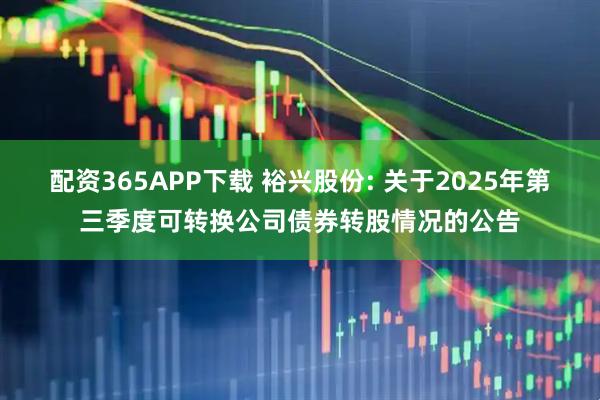 配资365APP下载 裕兴股份: 关于2025年第三季度可转换公司债券转股情况的公告